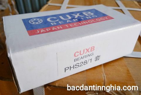 Bạc đạn vòng bi PHS28 CUXB