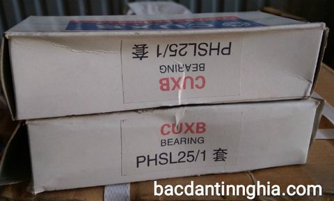 Bạc đạn vòng bi PHS25 CUXB