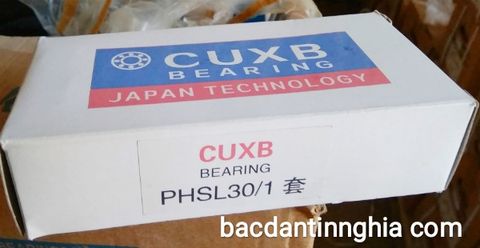 Bạc đạn vòng bi PHS30-L CUXB