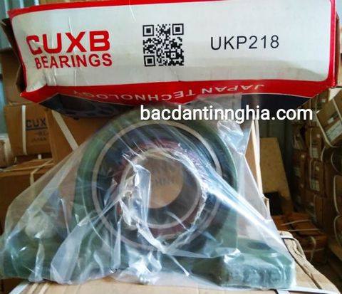 Bạc đạn vòng bi gối đỡ UKP218 CUXB, ukp 218