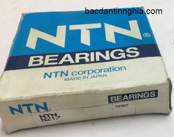 N217 NTN
