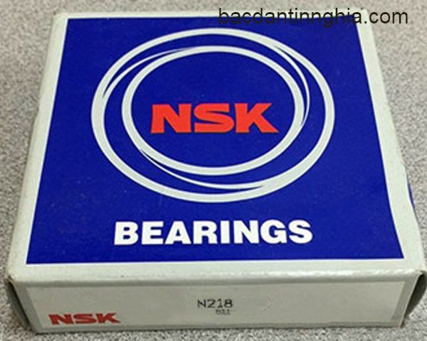 N218 NSK