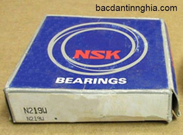 N219 NSK