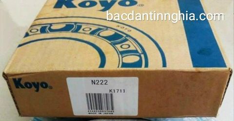 Bạc đạn vòng bi N222 KOYO N 222