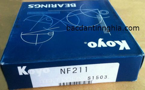 Bạc đạn vòng bi NF211 KOYO NF 211