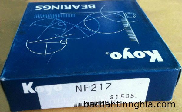 NF217 KOYO