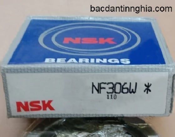 NF306 NSK
