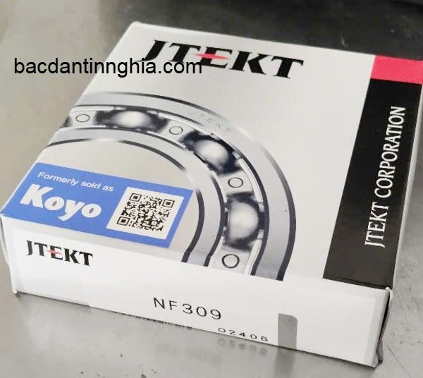 NF309 KOYO