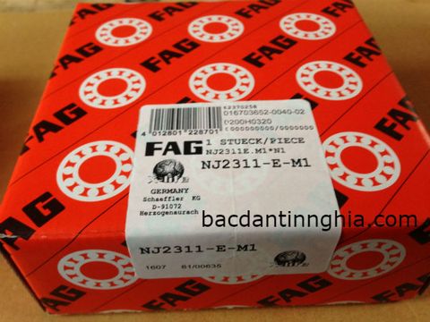 Bạc đạn vòng bi đũa NJ2311-M FAG NJ 2311