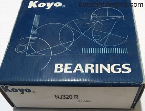 Bạc đạn vòng bi NJ320 KOYO 100x215x47 mm