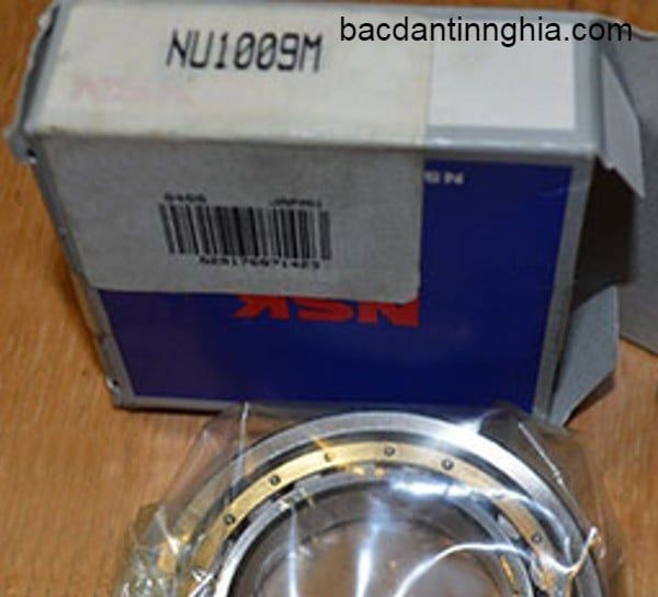 NU1009M NSK