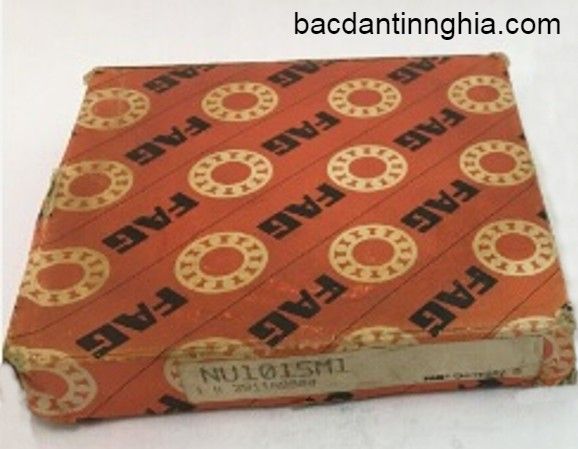 NU1015M FAG