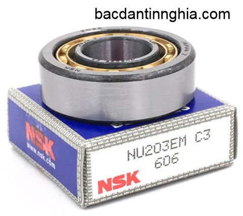 Bạc đạn vòng bi NU203 NSK 17*40*12mm