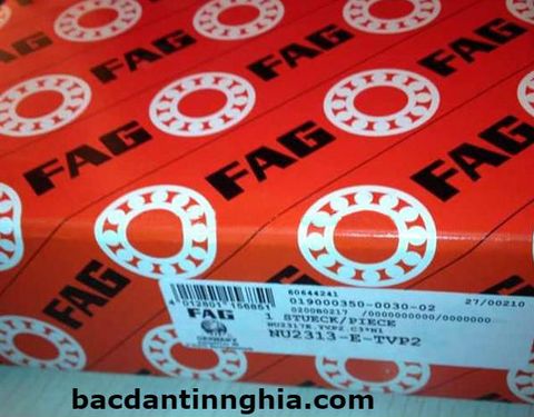 Bac dan vong bi NU2313 FAG