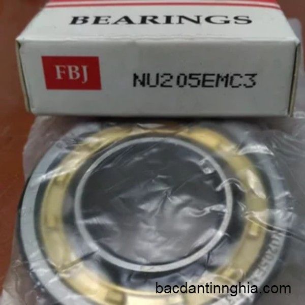 NU205 EMC3 FBJ