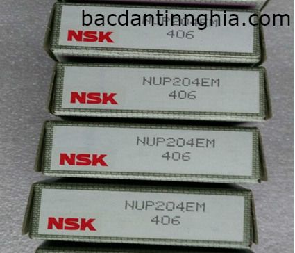 NUP204 NSK