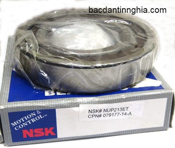 NUP213 NSK