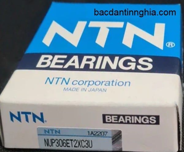NUP306 NTN