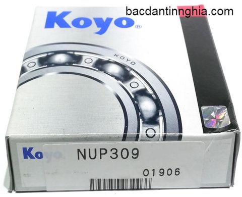 Bạc đạn vòng bi NUP309 KOYO 45x100x25 mm