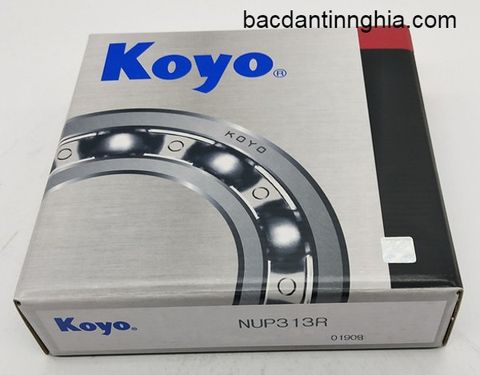 Bạc đạn vòng bi NUP313 KOYO NUP313R