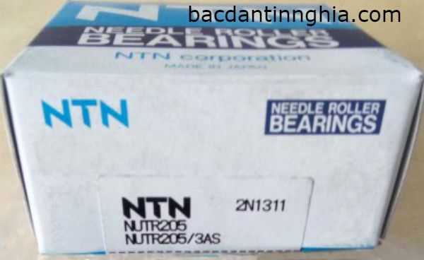 NUTR205 NTN