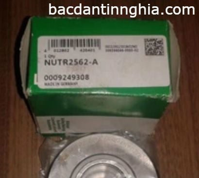 NUTR2562 INA