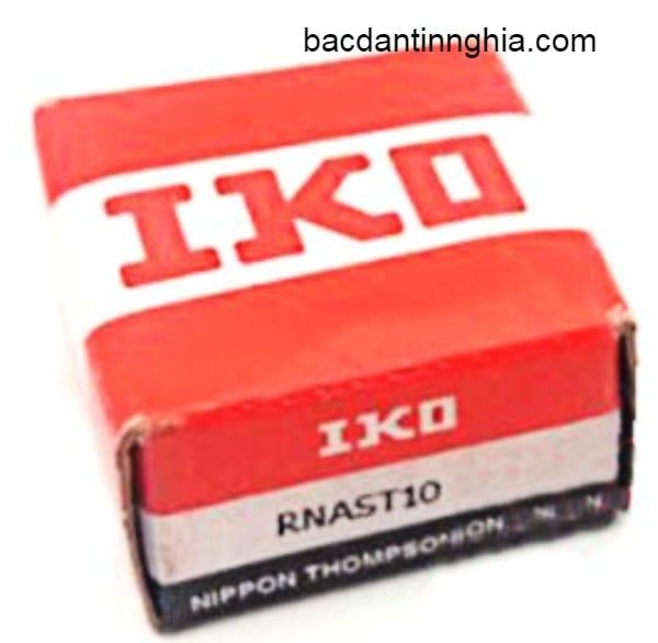 RNAST10 IKO