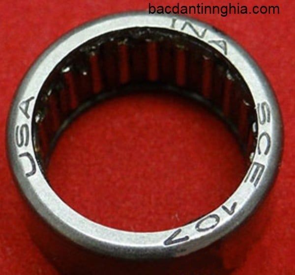 SCE107 INA
