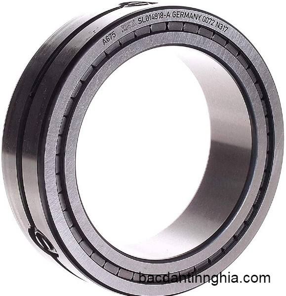 SL01 4918 INA