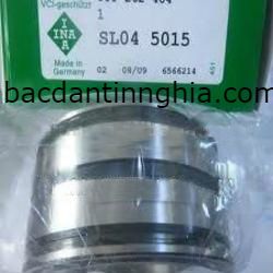 Bạc đạn vòng bi đũa SL04 5015 INA. SL04-5015. 75*115*54mm