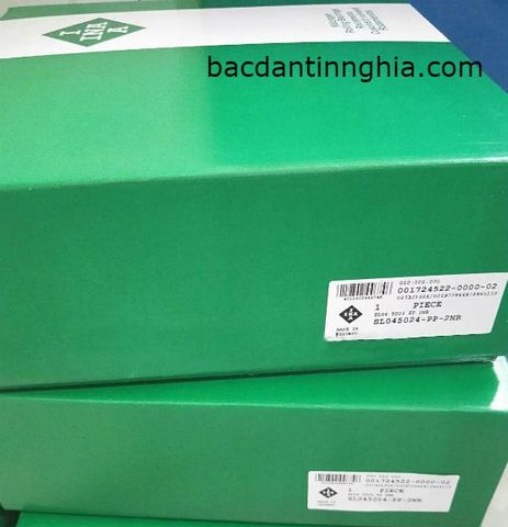 Bạc đạn vòng bi đũa SL04-5024-PP-2NR INA