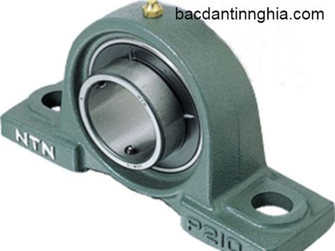 Bạc đạn vòng bi gối đỡ UCP210 NTN lỗ trục 50mm