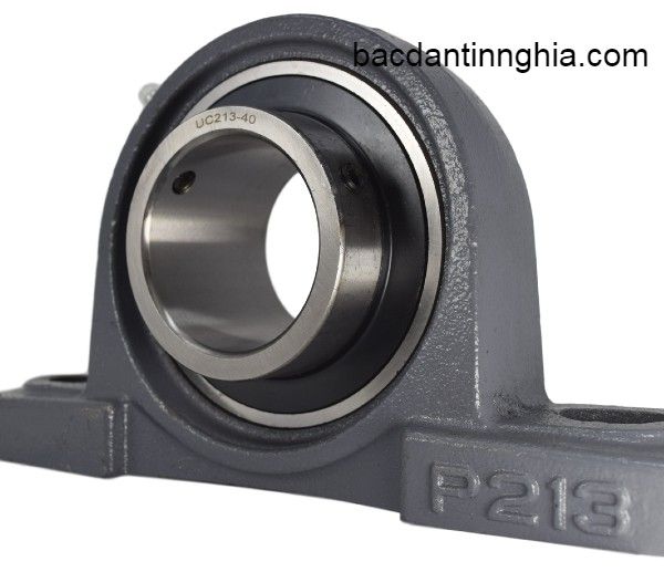 UCP213-40 CUXB
