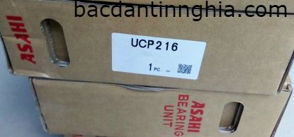 UCP216 ASAHI