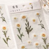 Sticker, hình dán trang trí thực vật hoa cỏ