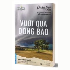 Chicken Soup For The Soul - Vượt qua giông bão