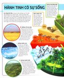 Các Siêu Sao Trong Giới Động Vật