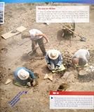 Thế Nào Và Tại Sao - Khủng Long - Trong Đế Chế Của Các Loài Bò Sát (Tái Bản 2022)