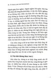 Đạo Lộ - Đường Đến Chân Hạnh Phúc