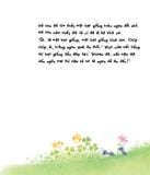 Gà Con Và Hoa Hướng Dương