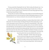 Adiba - Bà Phù Thủy Trên Cây Sồi