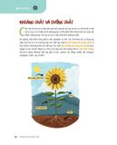 Tớ Muốn Biết Tuốt - Khám Phá Nông Trại