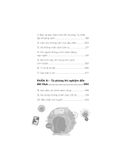 The Marshmallow Test - Hiệu Ứng Của Sự Cám Dỗ Và Khai Phá Sức Mạnh Của Ý Chí Tự Chủ Để Kiểm Soát Bản Năng