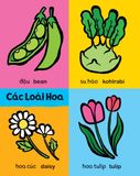 My First 100 Plants - Thế giới thực vật