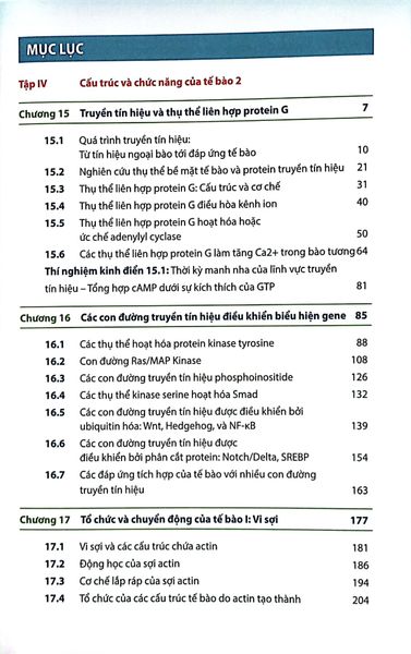 Sinh Học Phân Tử Của Tế Bào - Tập 4 - Cấu Trúc Và Chức Năng Của Tế Bào 2 (Tái Bản 2024)