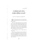 Dinh dưỡng tươi xanh - ăn lành để trẻ