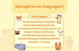 Capy và những người bạn