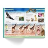 Bách khoa cho trẻ em – Bách khoa khoa học