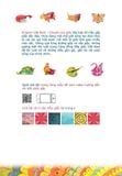 Origami Việt Nam - Chuyện Của Giấy (Bản Đặc Biệt)