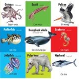 First 100 animals - 100 Từ đầu tiên về các loài động vật